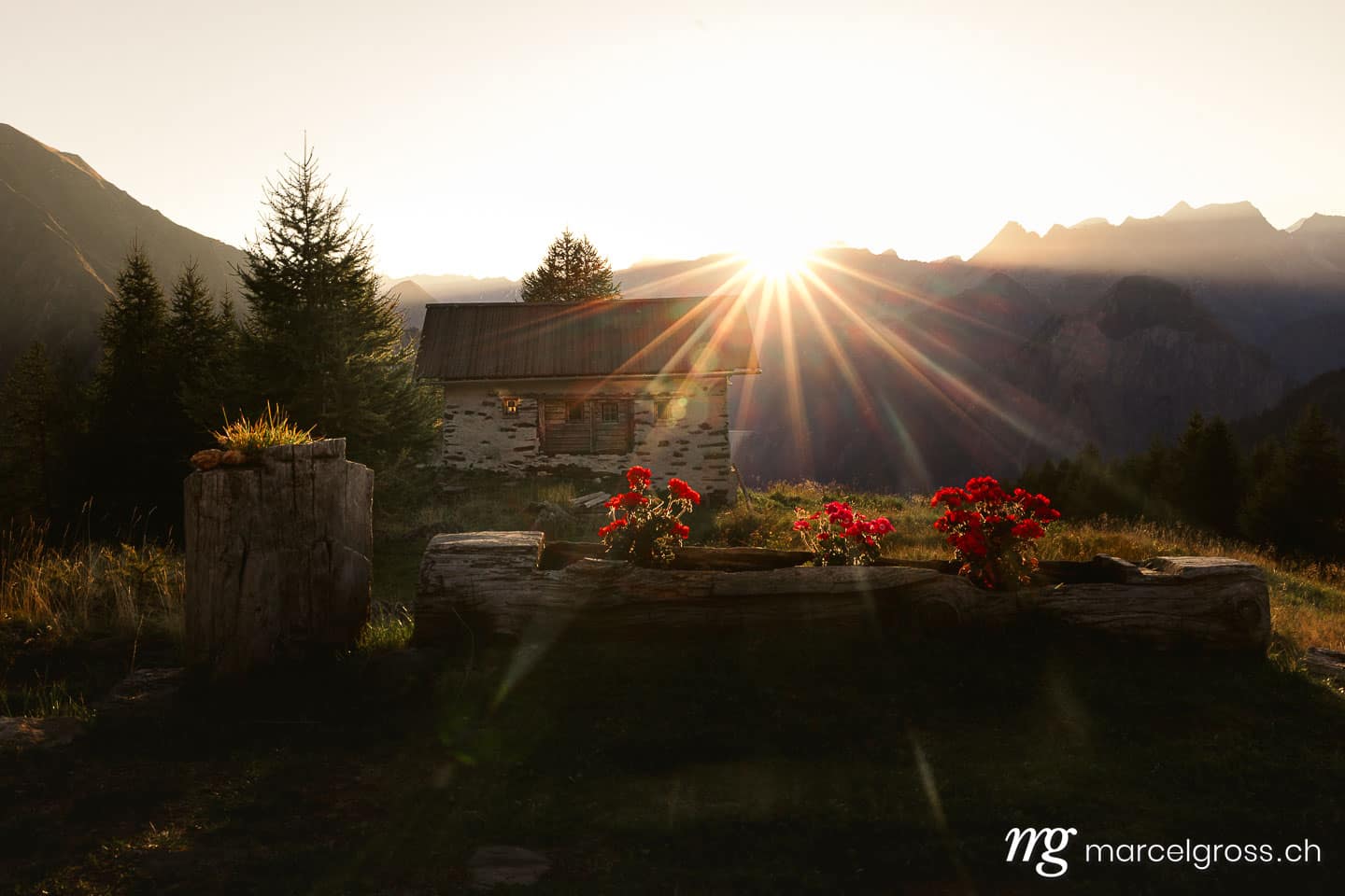 . . Marcel Gross Photography