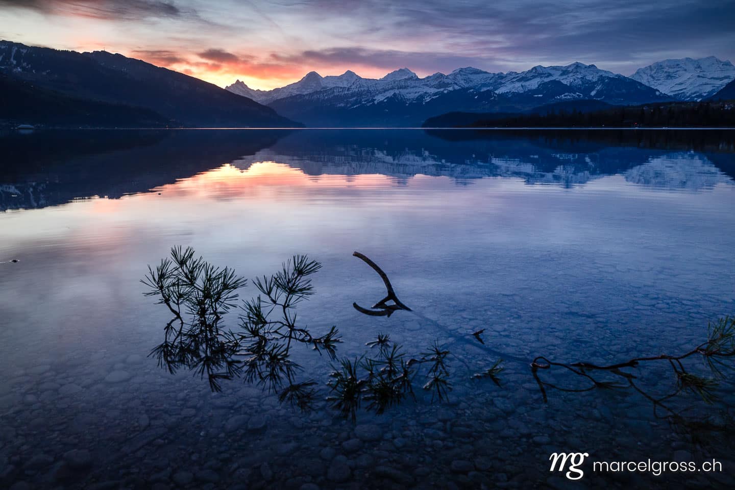 .  (c) Marcel Gross Photography