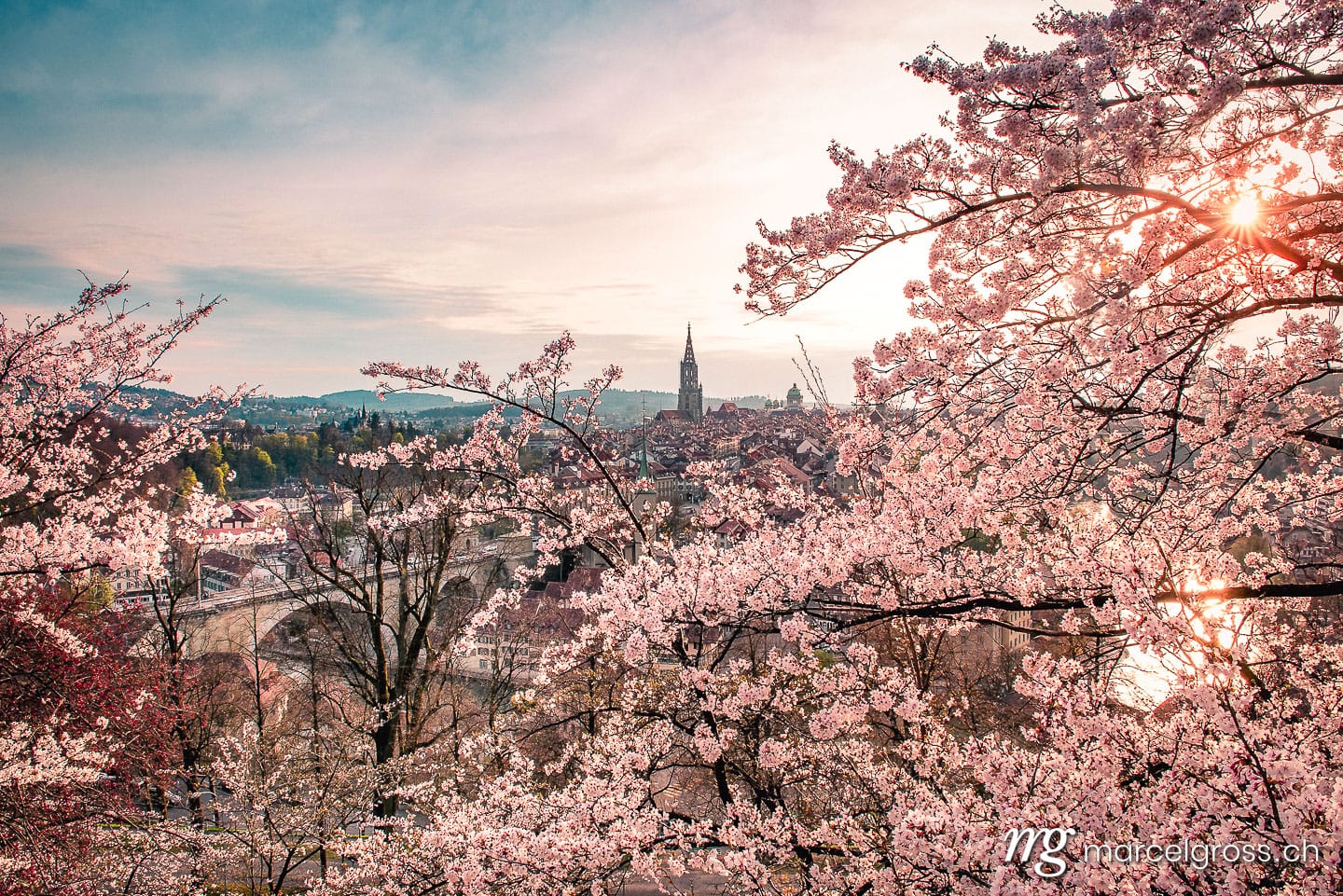 Bern Bilder. Abendstimmung über Berner Altstadt während der Kirschblüte. Marcel Gross Photography