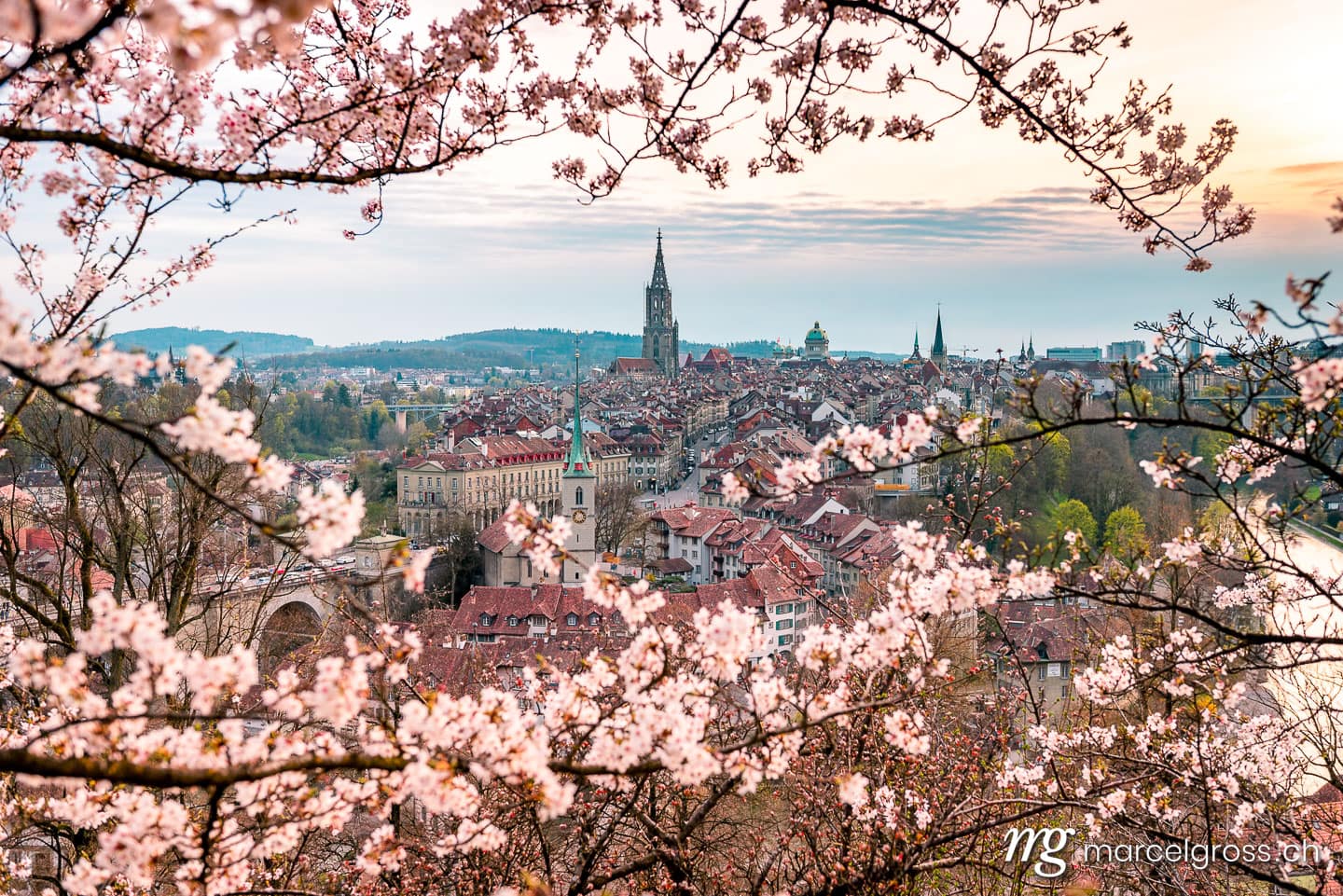 Bern Bilder. Abendstimmung über Berner Altstadt während der Kirschblüte. Marcel Gross Photography