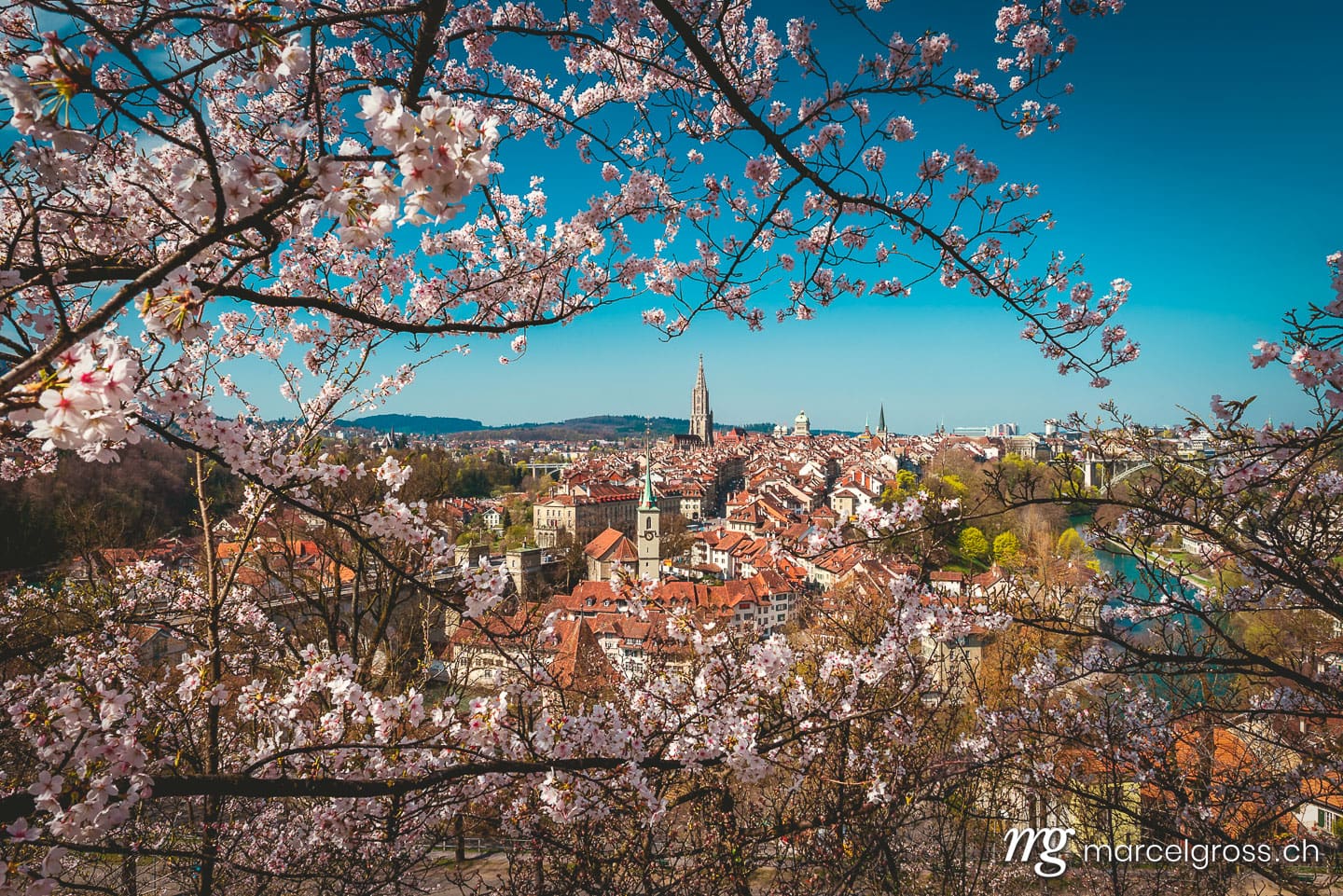 Bern Bilder. Kirschblüte über der Stadt Bern, Schweiz. Marcel Gross Photography