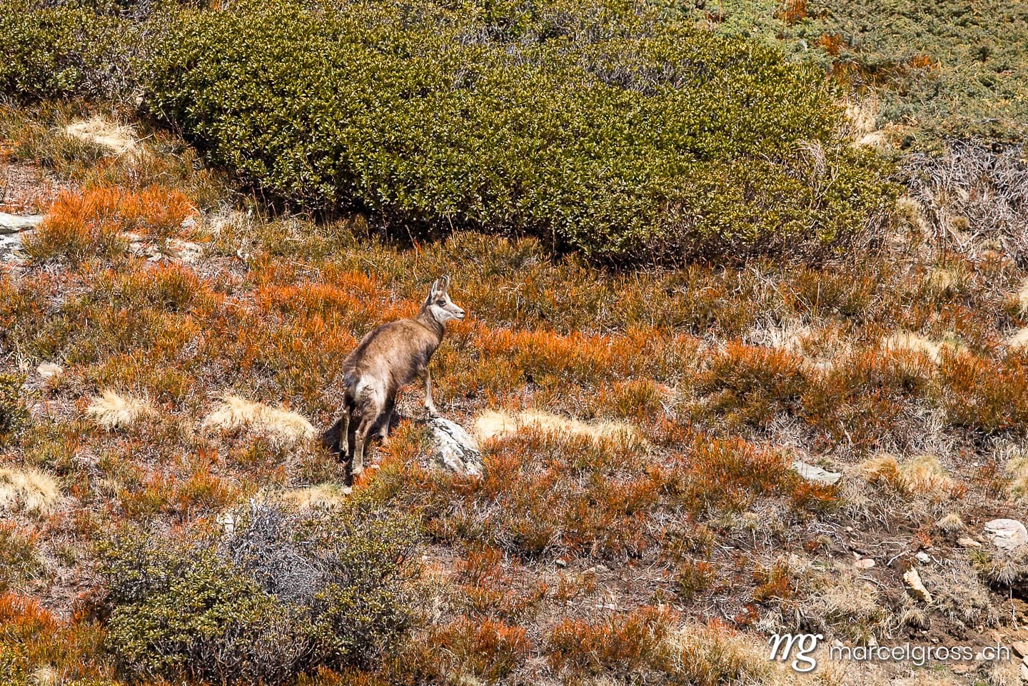 Tessin Bilder. . Marcel Gross Photography
