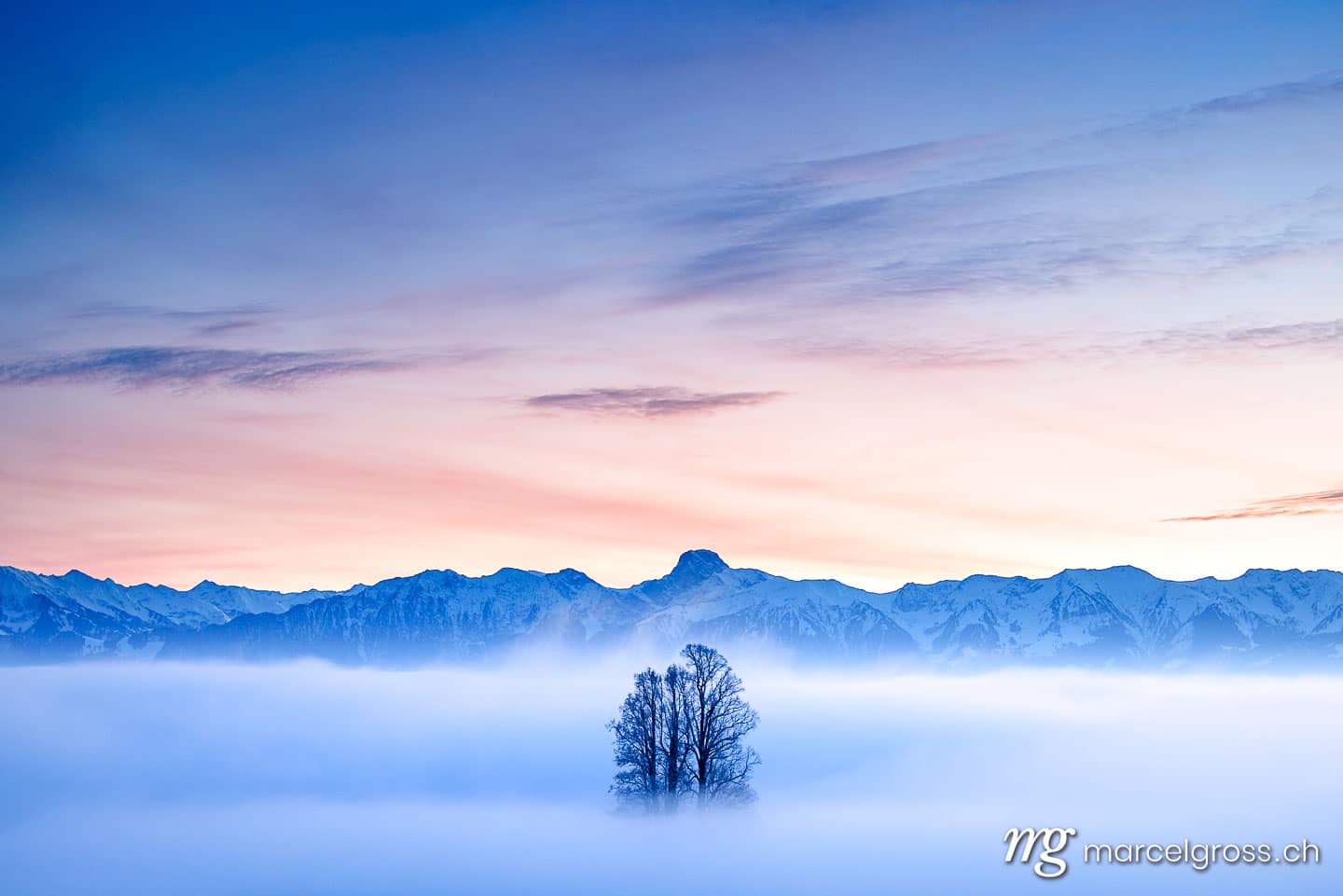 Emmental Bilder. tilia tree standing in mist during blue hour in winter on Ballenbühl in Emmental. Marcel Gross Photography