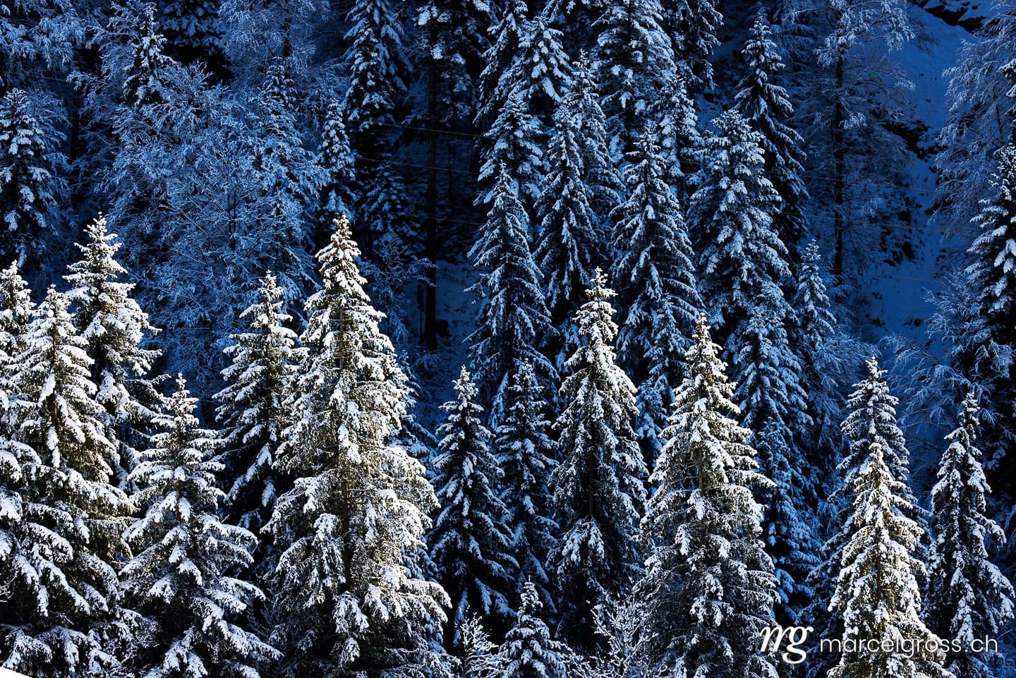 . snow covered trees in idyllic winter landscape in Eriz. Marcel Gross Photography
