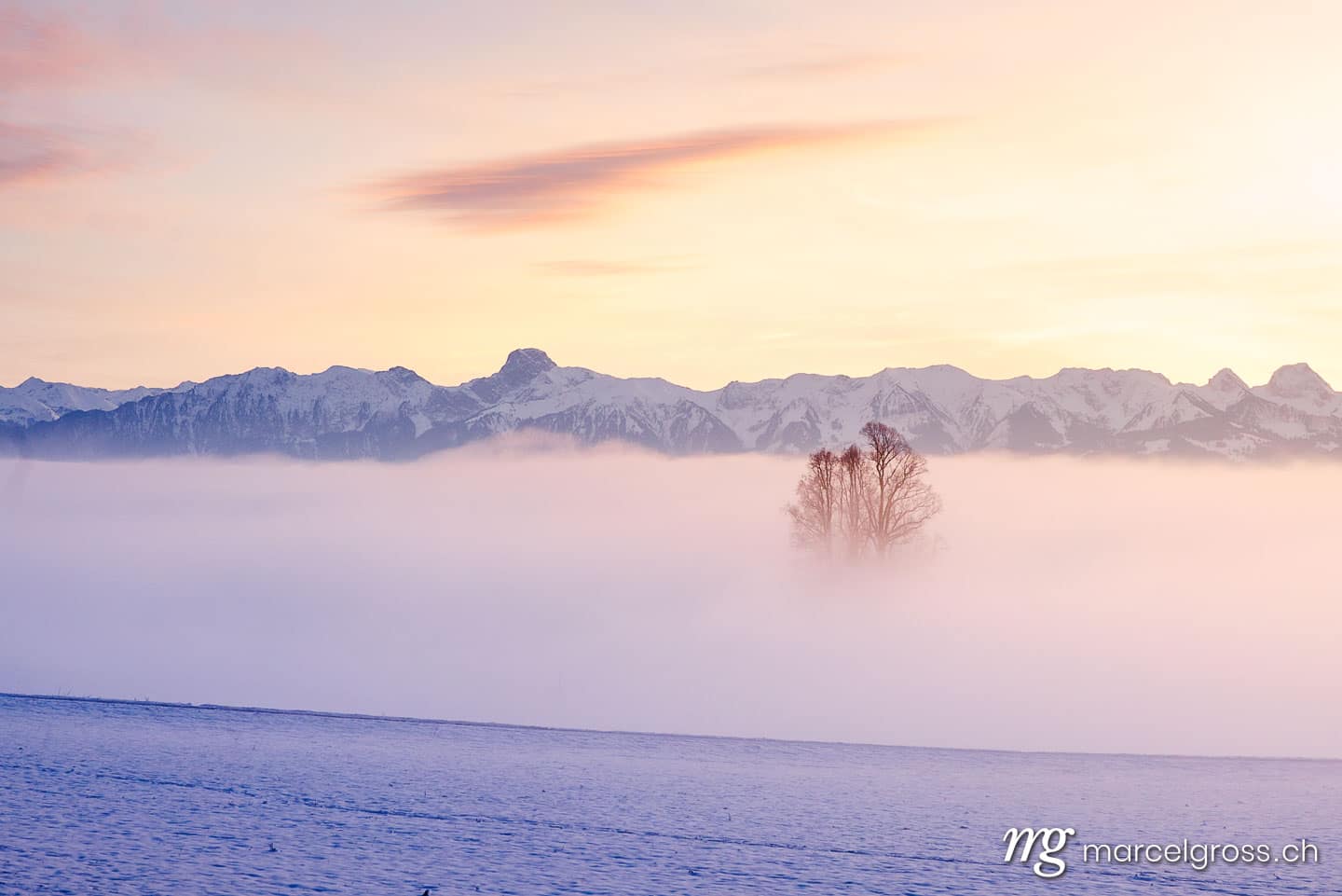 Winterbild Schweiz. three standing out of a sea of fog in Emmental with Stockhorn ridge in the distance. Marcel Gross Photography