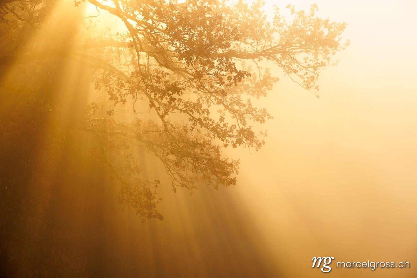 Emmental Bilder. . Marcel Gross Photography