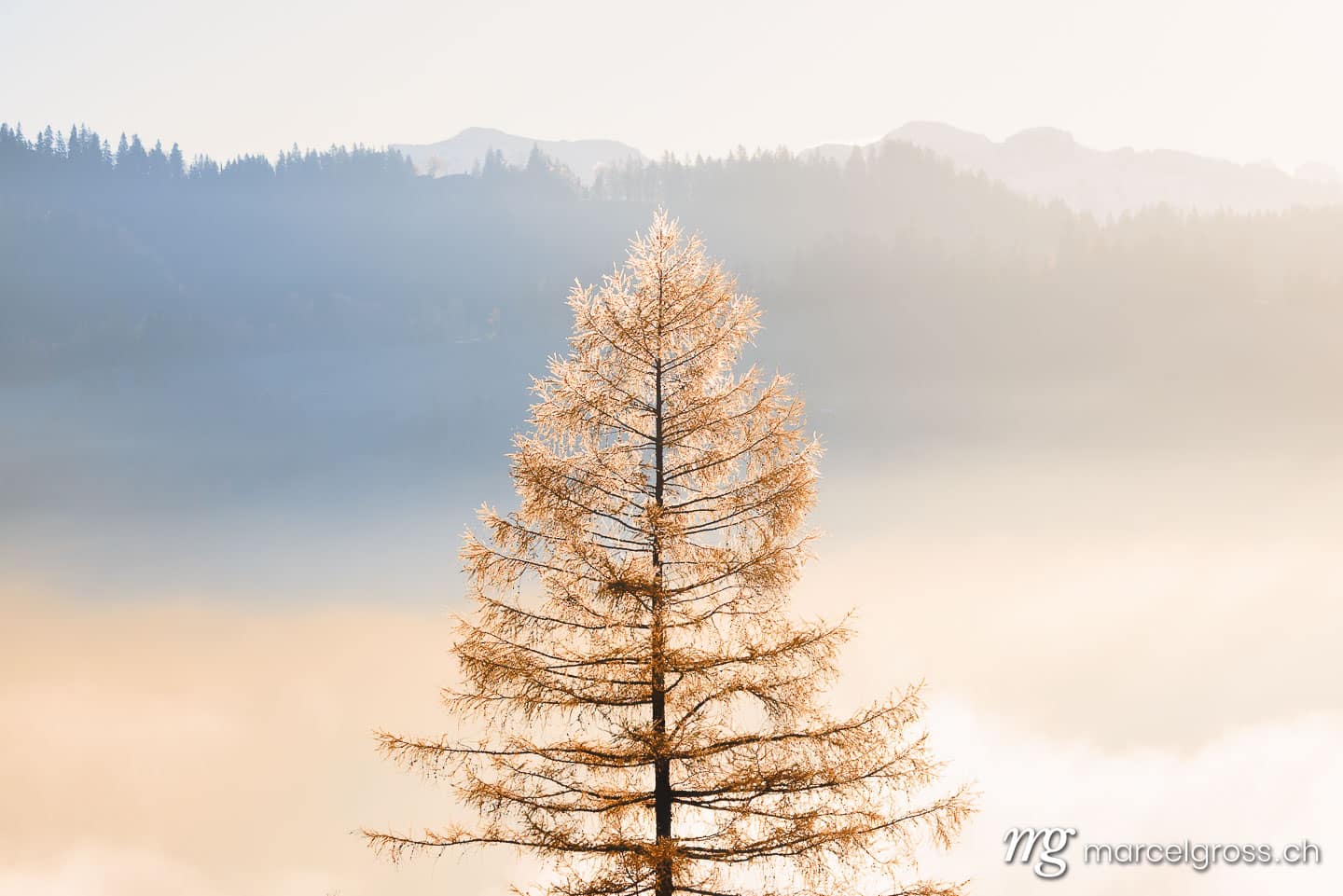 Herbstbild Schweiz. Nebelschwaden im Herbst im Emmental. Marcel Gross Photography