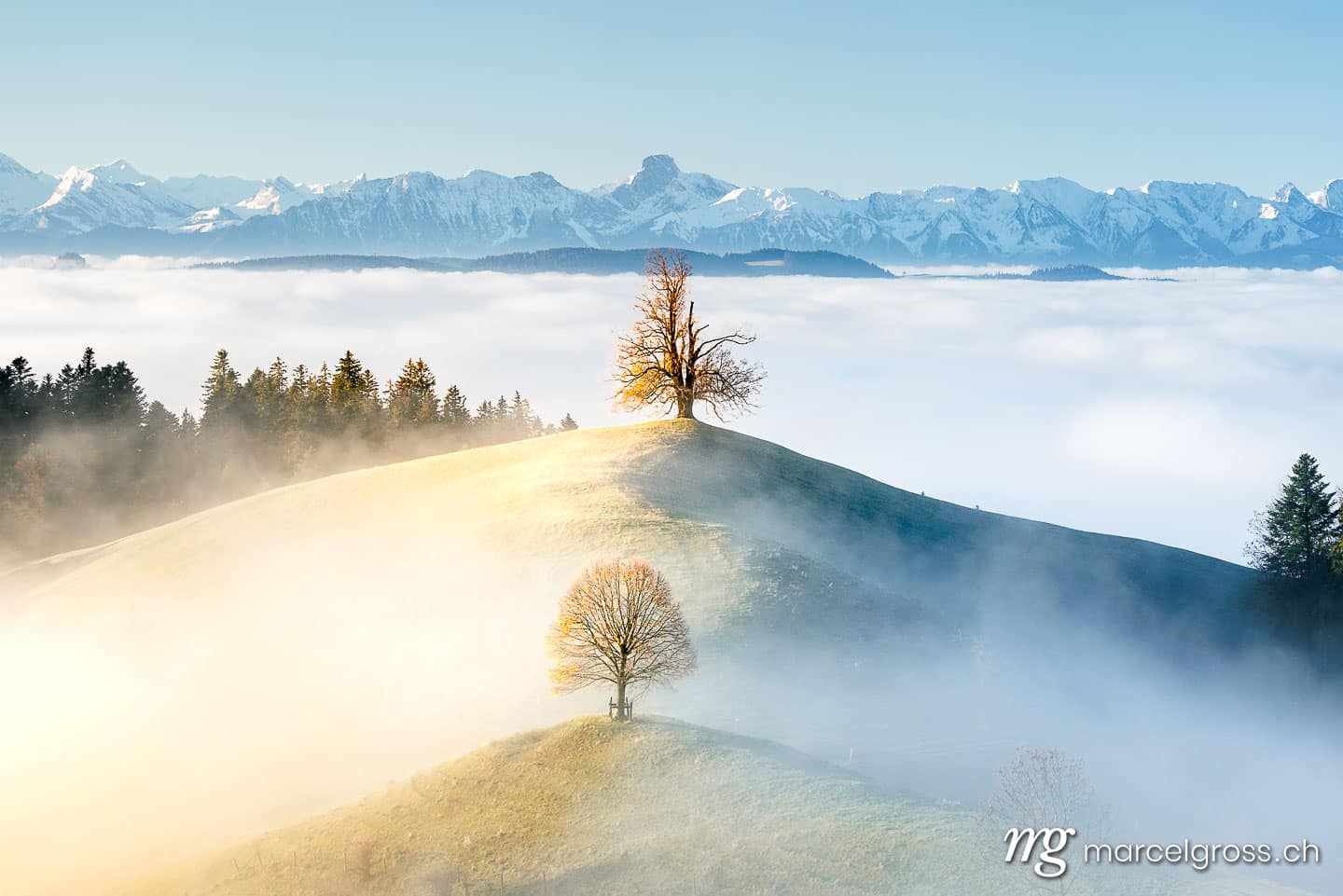 Herbstbild Schweiz. Emmentaler Hügel mi Bäumen und Berner Alpen. Marcel Gross Photography