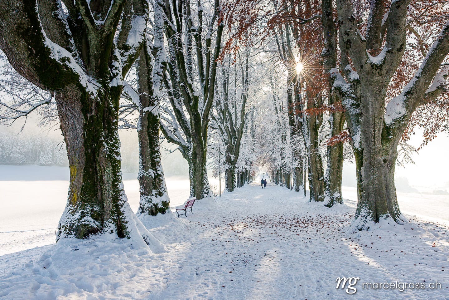 Winter picture Switzerland. . Marcel Gross Photography
