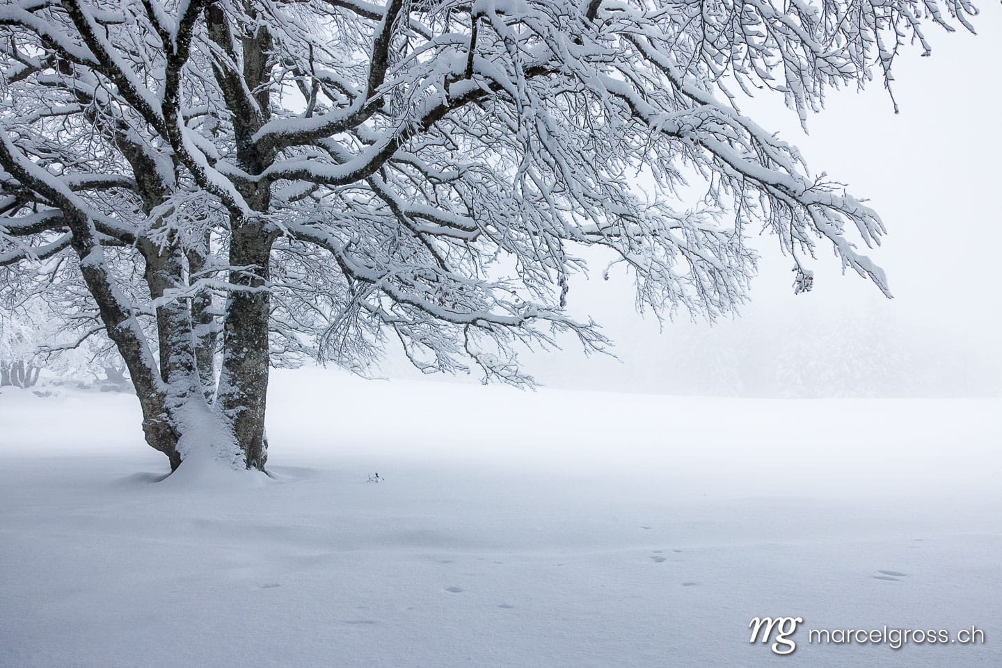 Winter picture Switzerland. . Marcel Gross Photography