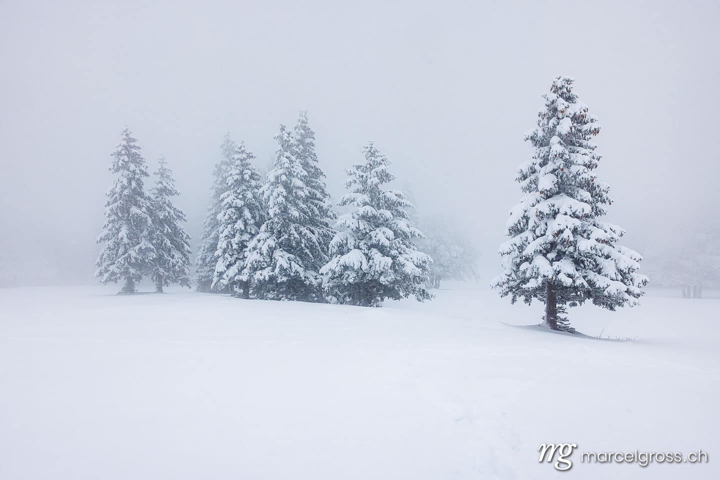 Winter picture Switzerland. . Marcel Gross Photography