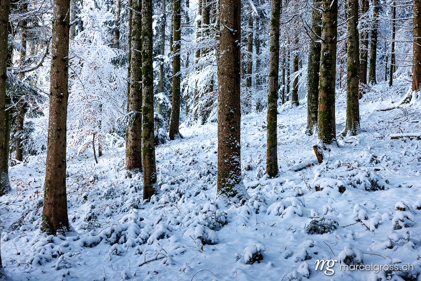 Winter picture Switzerland. . Marcel Gross Photography