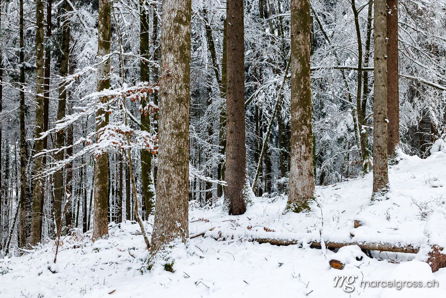 Winter picture Switzerland. . Marcel Gross Photography