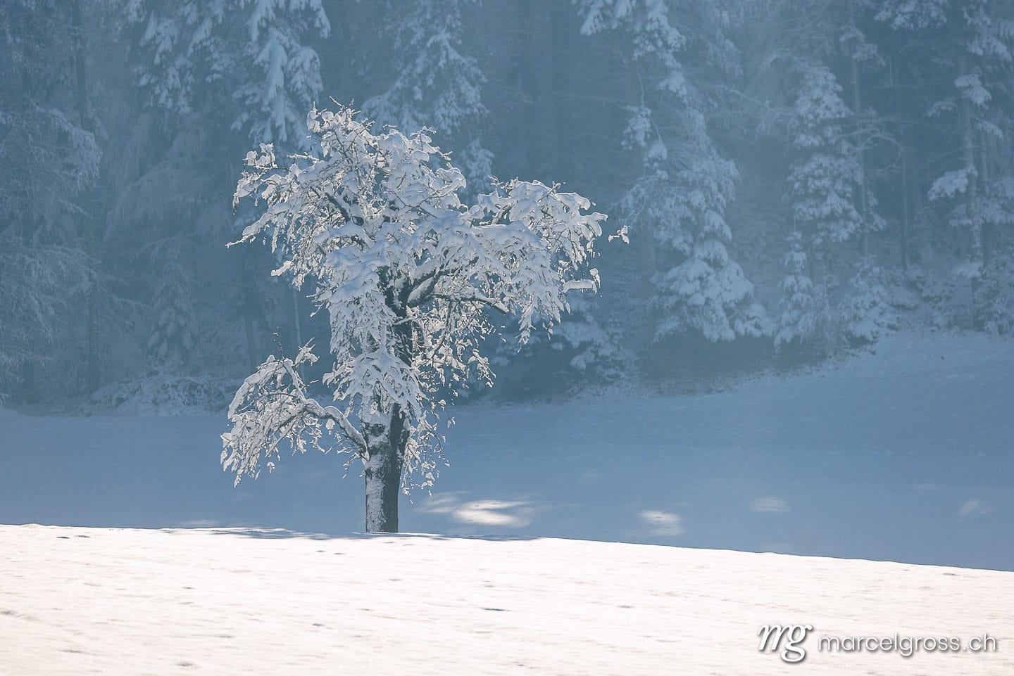 Winter picture Switzerland. . Marcel Gross Photography