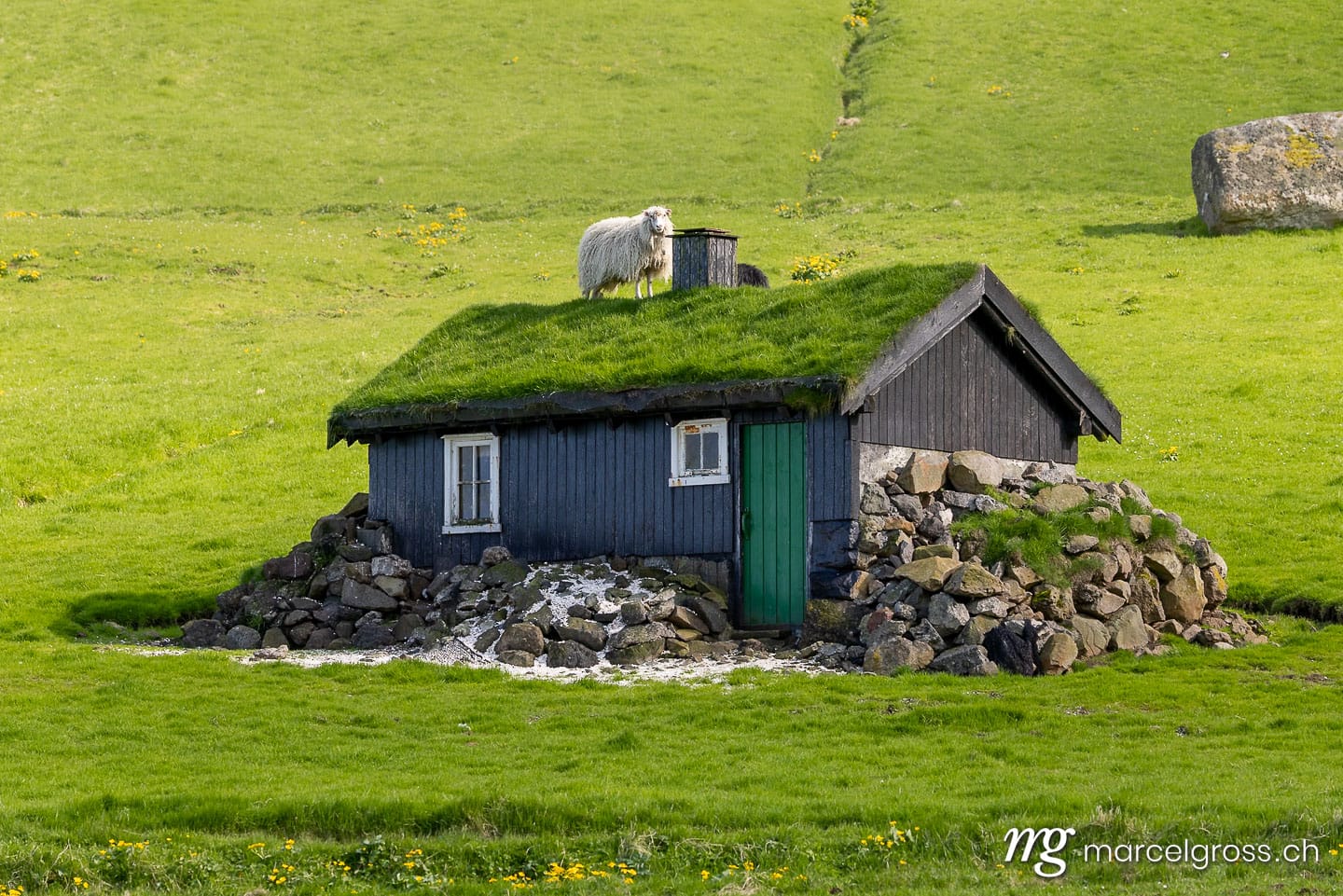 .  (c) Marcel Gross Photography