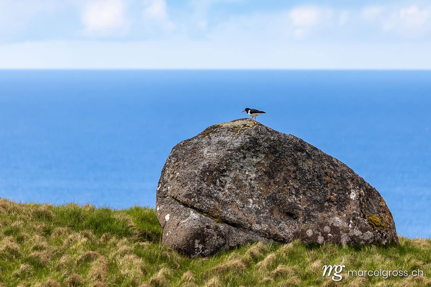 .  (c) Marcel Gross Photography