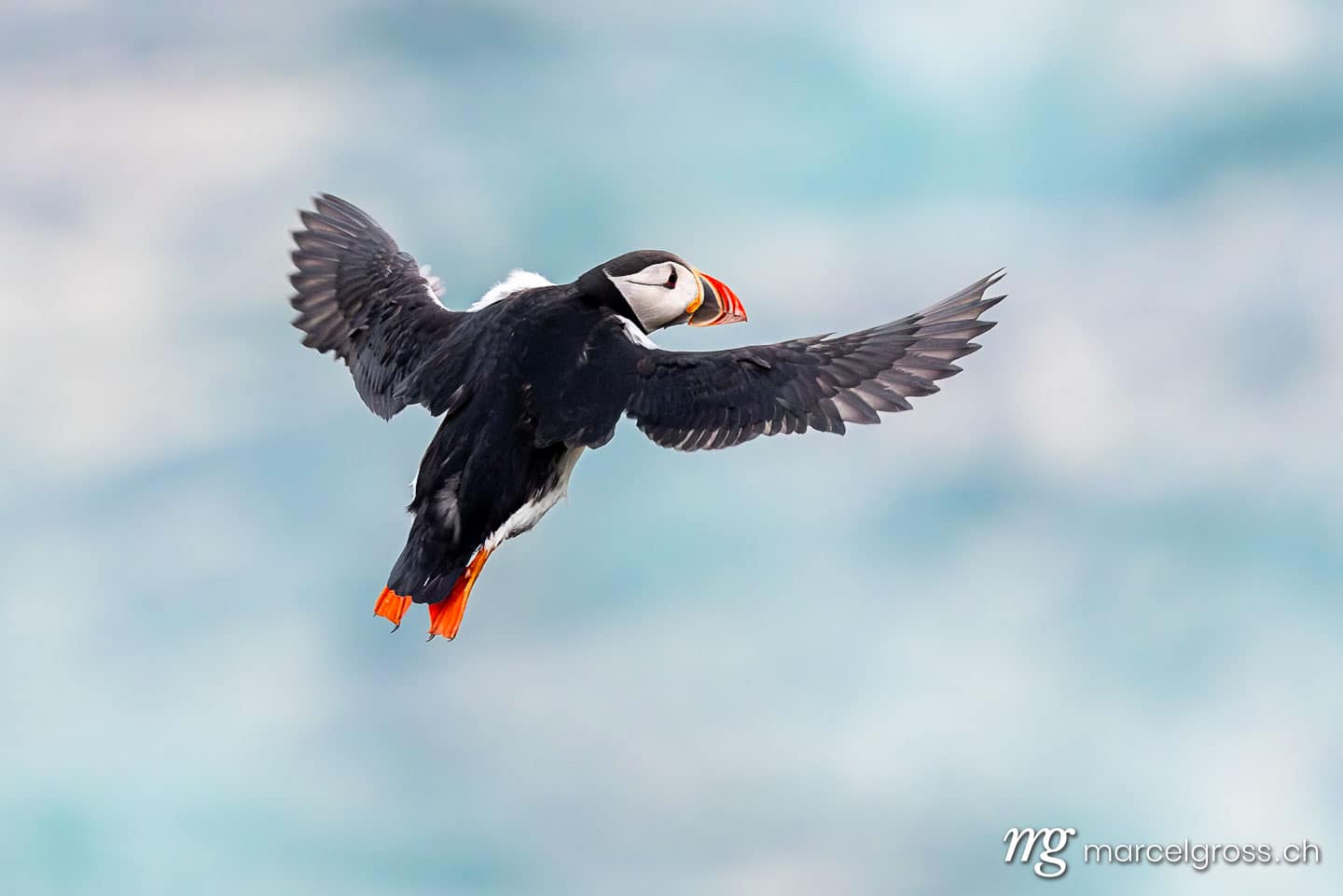 .  (c) Marcel Gross Photography