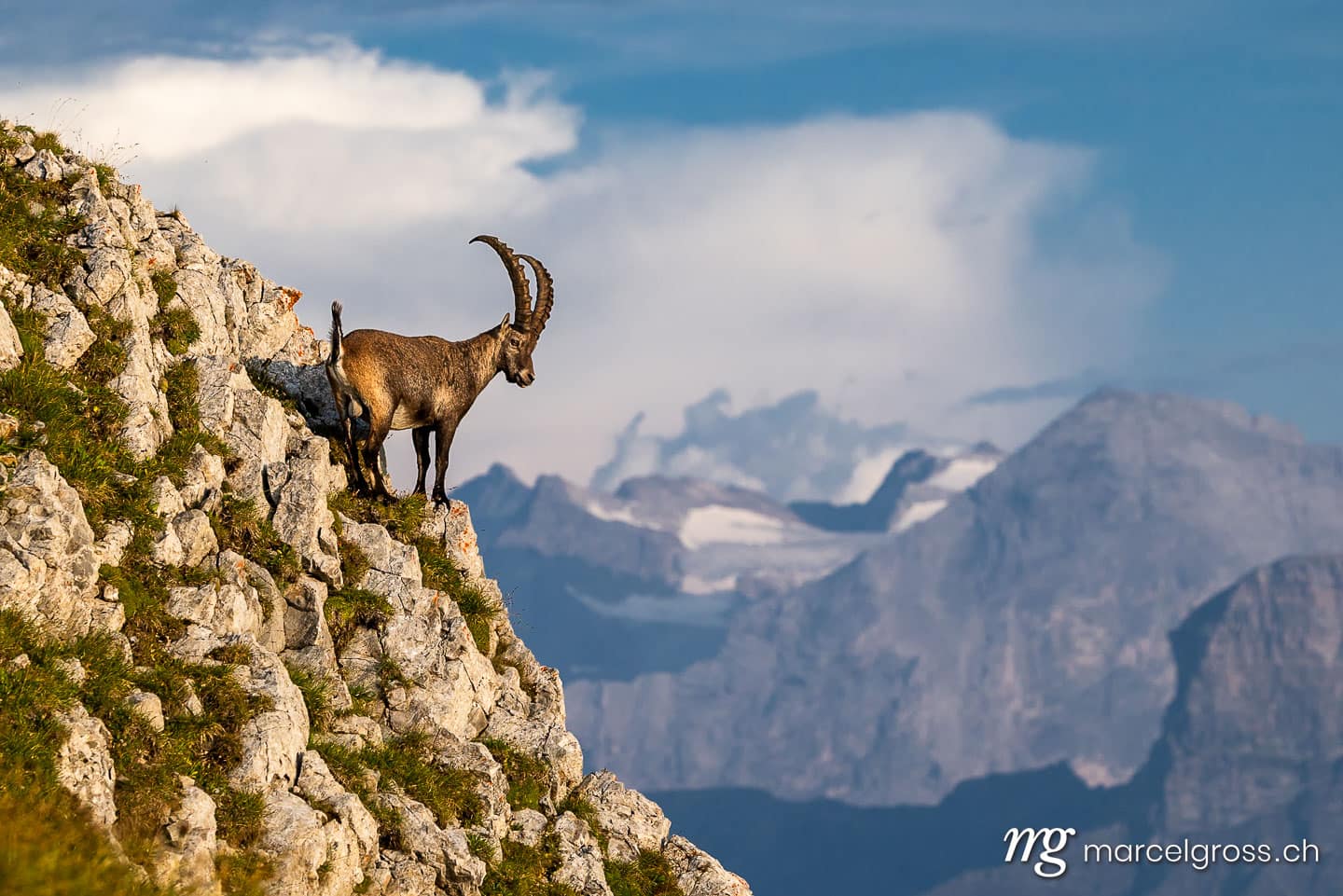 . . Marcel Gross Photography