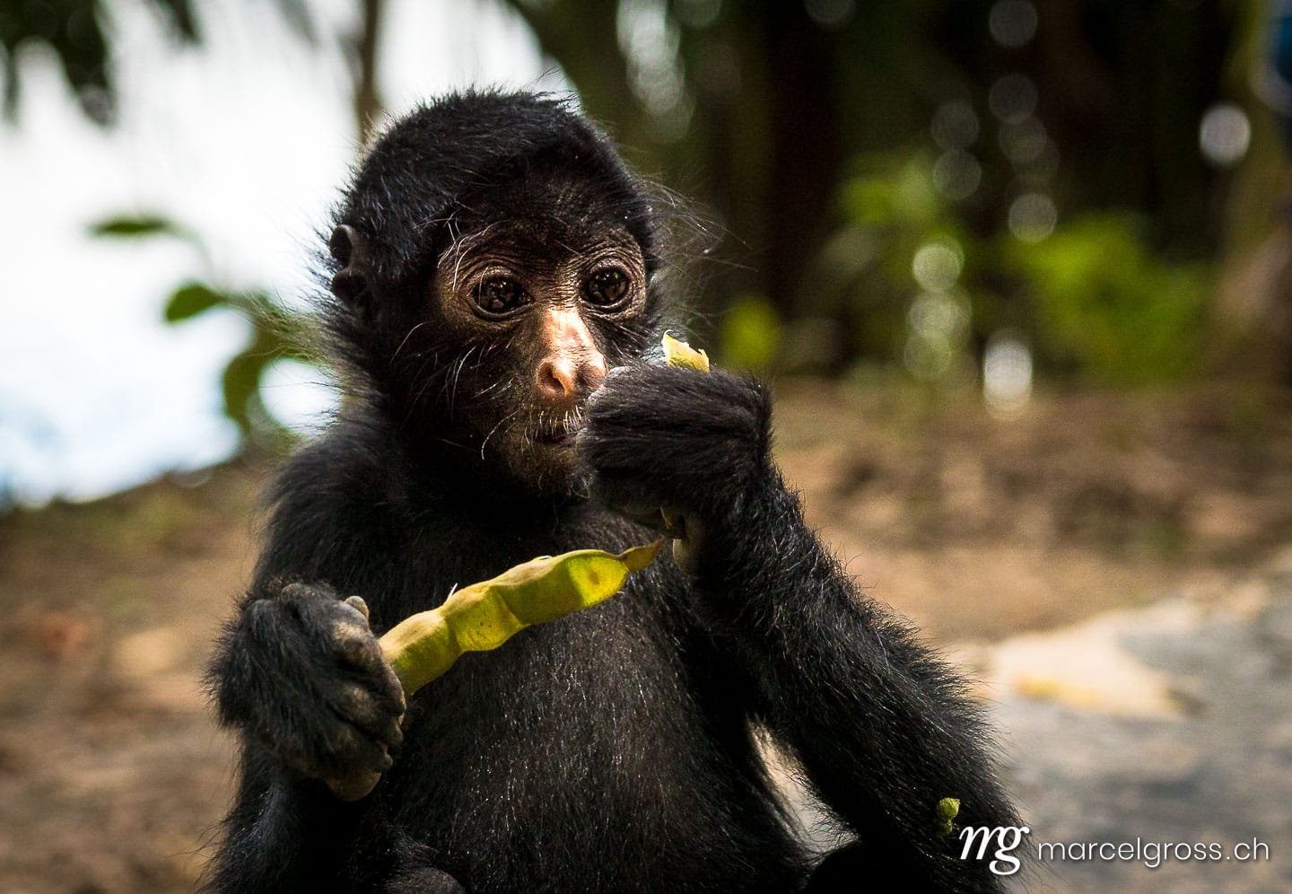 . have a look at your food. Marcel Gross Photography
