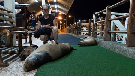 Panamericana-Reisetagebuch - 2015 05 11