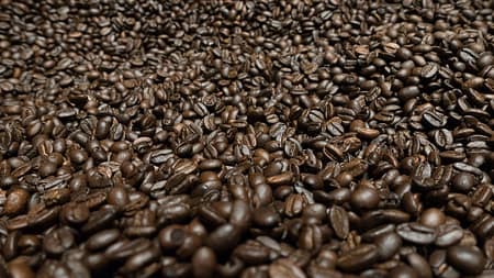 Panamericana-Reisetagebuch - 2015 05 31