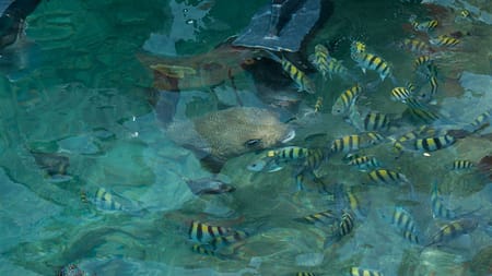 Panamericana-Reisetagebuch - 2015 06 09