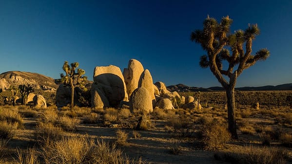 Wonderland of the rocks im Joshua Tree National Park