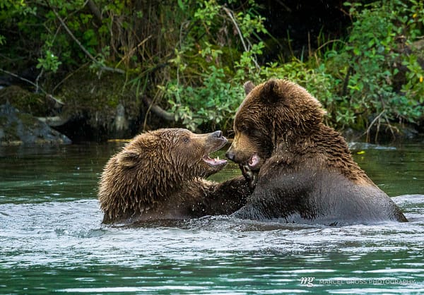 Alaska Bilder. In beautiful Lake Clark National Park in Alaska. Taken by Marcel Gross Photography