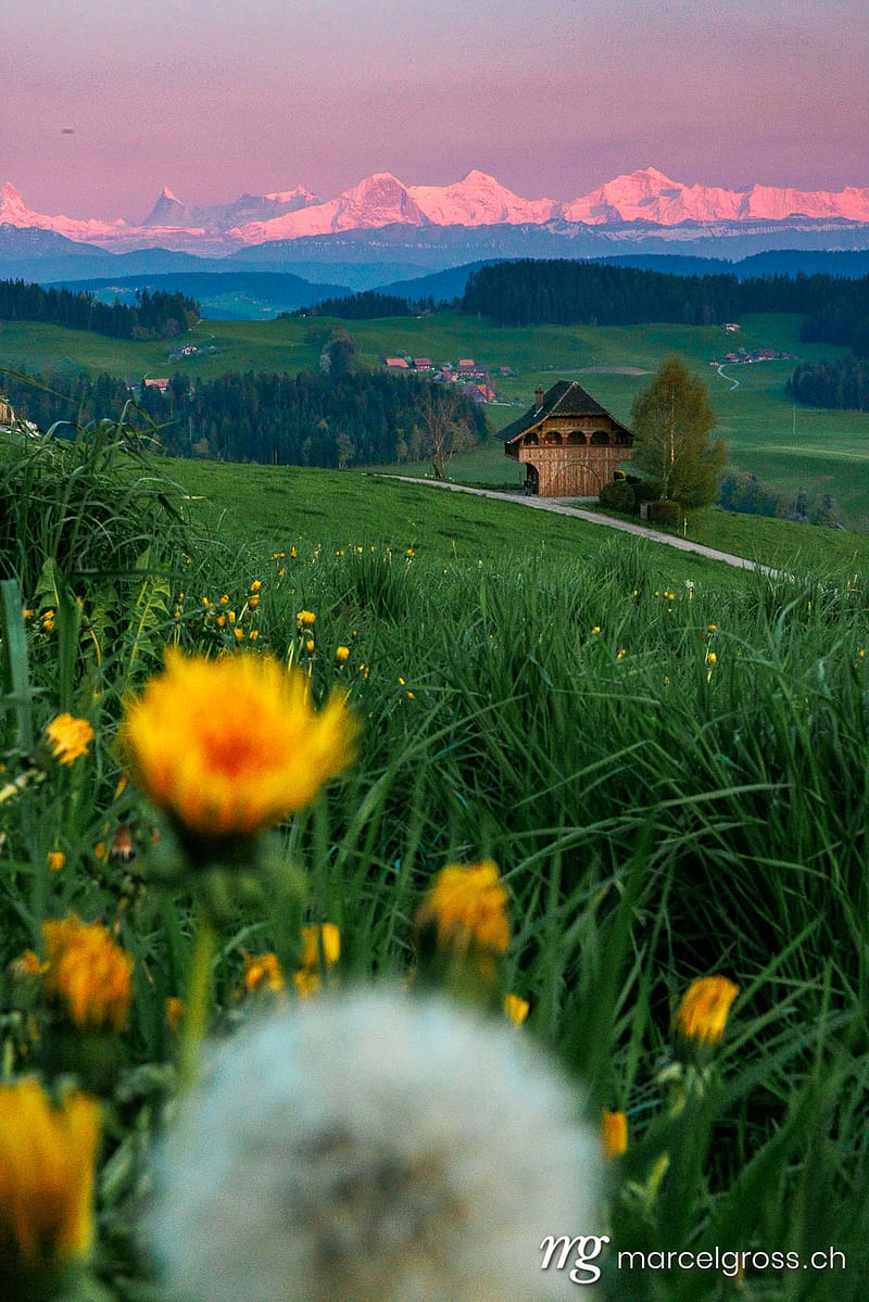 . spring in Emmental with the Bernese Alps in the distance. Marcel Gross Photography