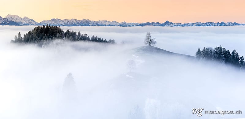. . Marcel Gross Photography