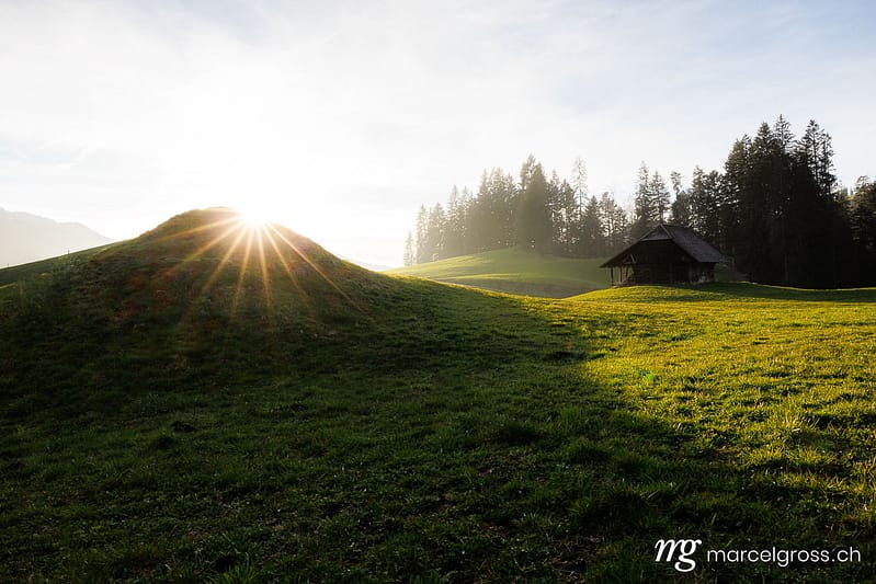 Spring images. . Marcel Gross Photography