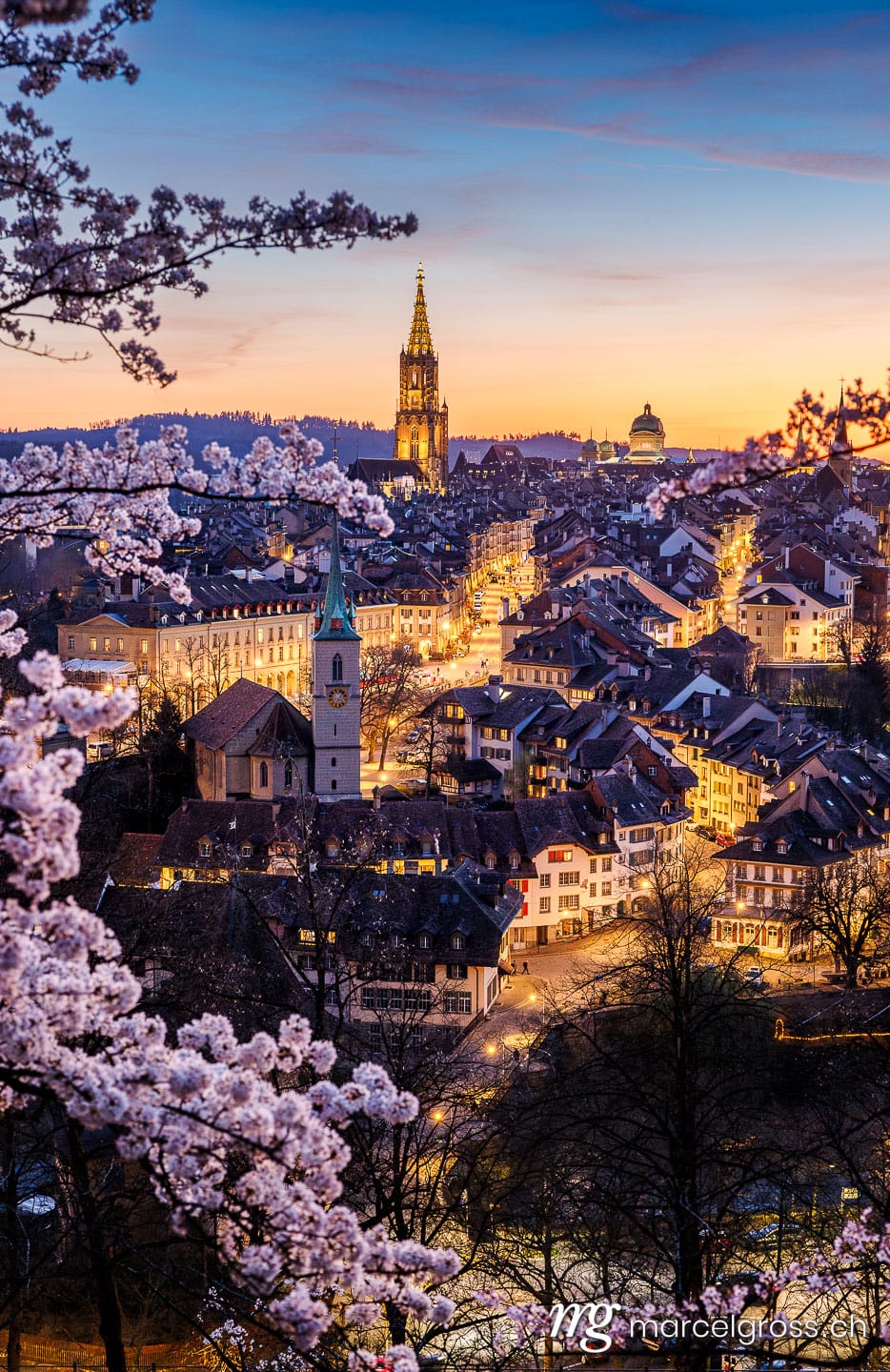 . Sonnenuntergang während Kirschblüte in Bern. Marcel Gross Photography