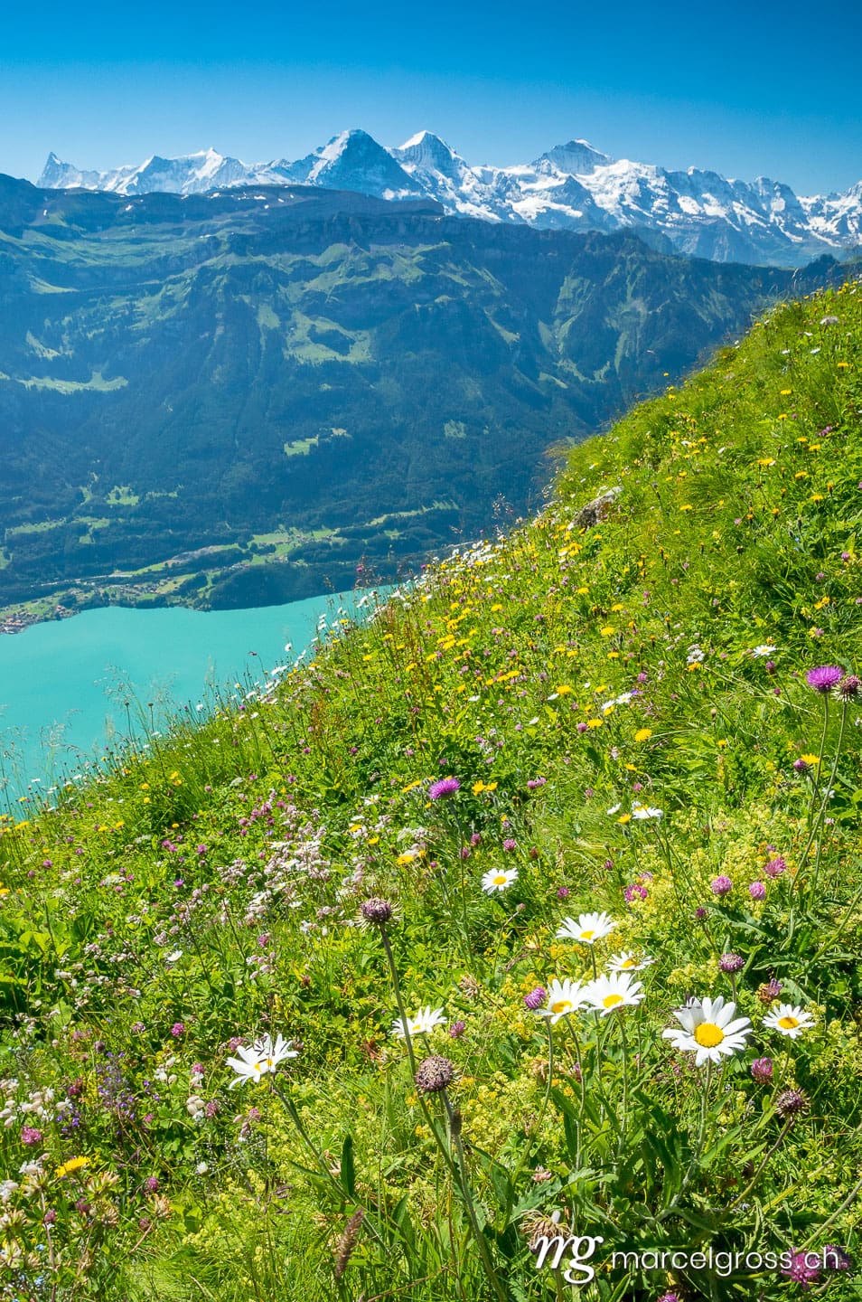 . turquoise colored Lake Brienz with Eiger, Mönch and Jungfrau. Marcel Gross Photography