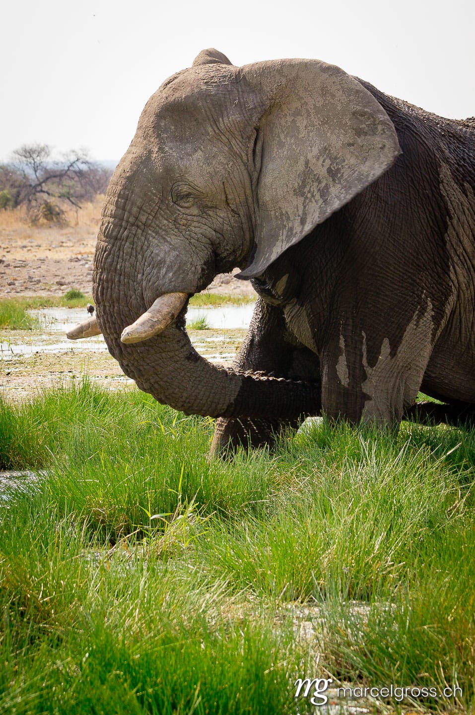 . ancient wisdom. Marcel Gross Photography