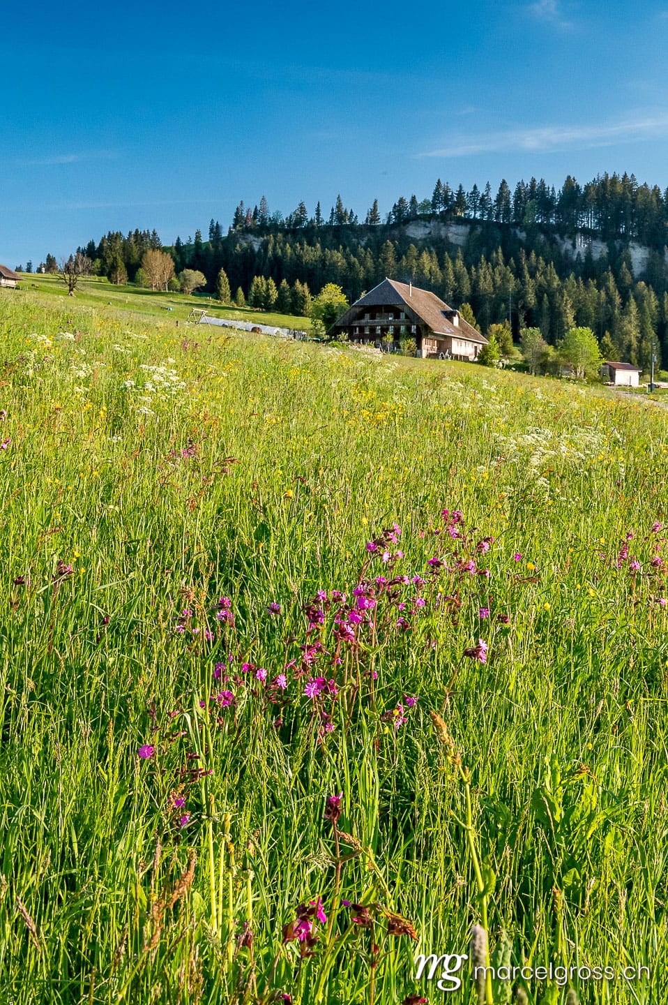 . Taken by Marcel Gross Photography