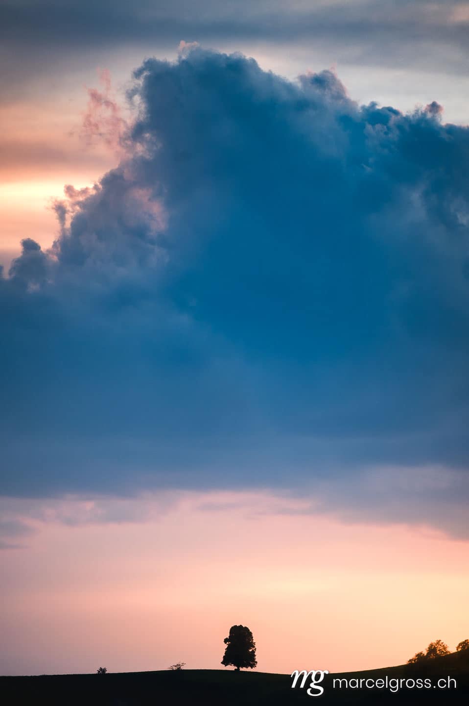 . Silhouette von einer Linde auf Emmentaler Hügel während einem Sonnenuntergang. Marcel Gross Photography