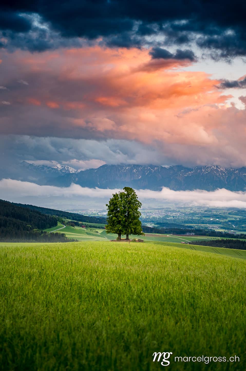 Frühlingsbilder Schweiz. Sonnenuntergangsstimmung auf dem Ballenbühl bei Konolfingen. Marcel Gross Photography