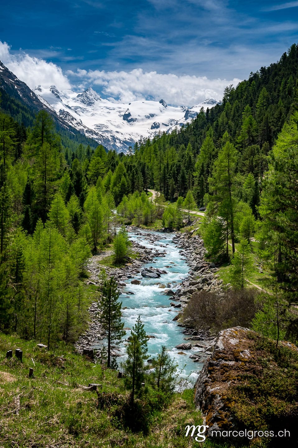 . Wildbach im naturbelassenen Val Roseg, Engadin. Marcel Gross Photography