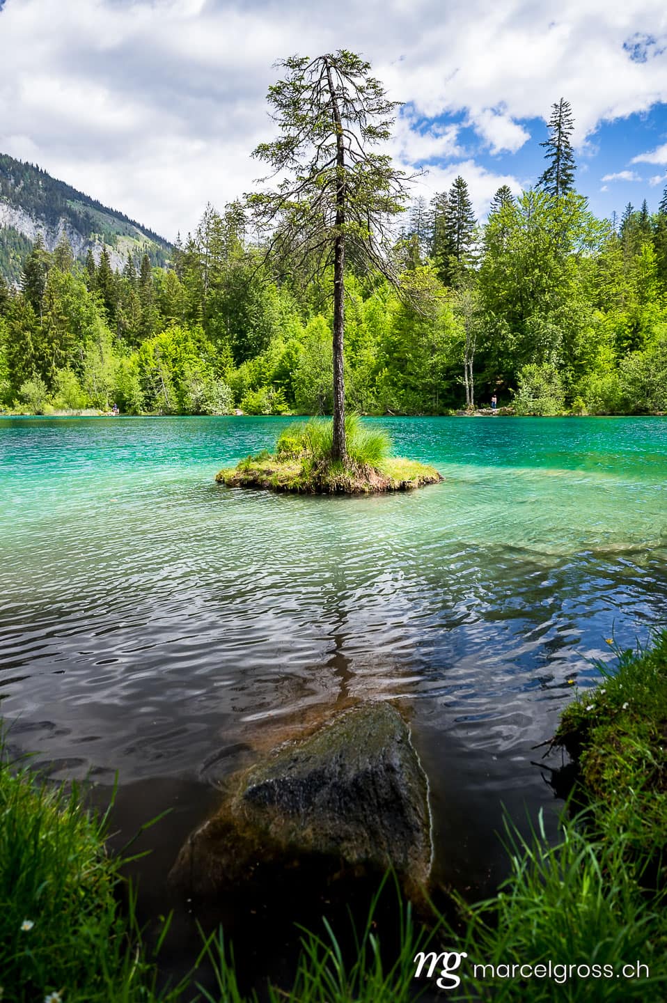 . wunderschöne Insel mit Tanne in türkisfarbenem Bergsee. Marcel Gross Photography
