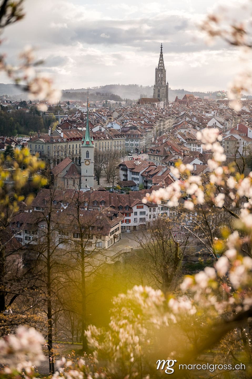 Bern Bilder. cherry blossom in Berne. Marcel Gross Photography