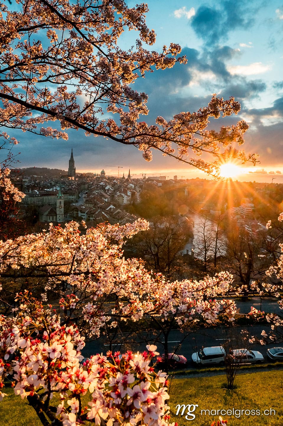 Bern Bilder. sunset durign cherry blossom in Bern seen from Rosengarten. Marcel Gross Photography