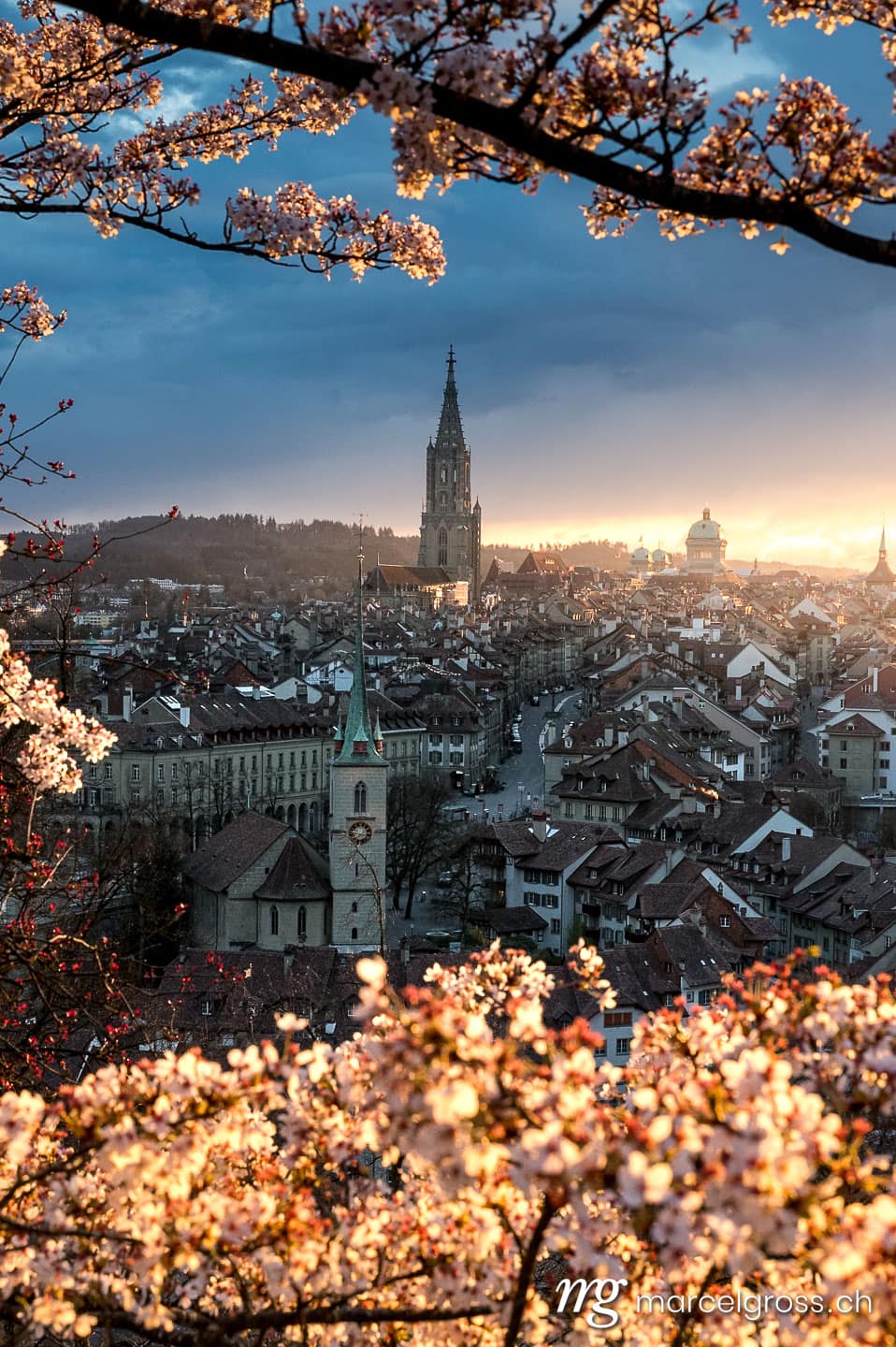 Bern Bilder. sunset durign cherry blossom in Bern seen from Rosengarten. Marcel Gross Photography