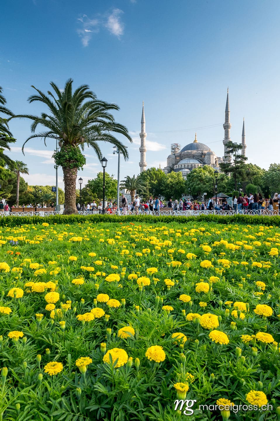 istanbul bilder. hagia sofia and flowers. Marcel Gross Photography