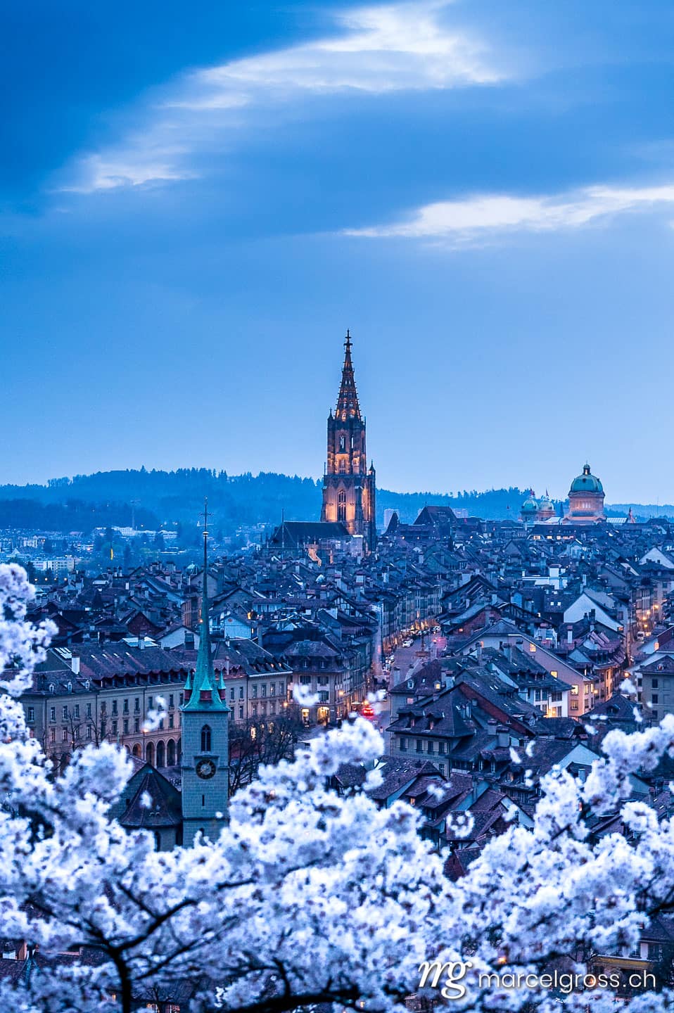 Bern Bilder. historic clocktower of Berner Münster during scenic cherry blossom in Rosengarten at blue hour. Marcel Gross Photography