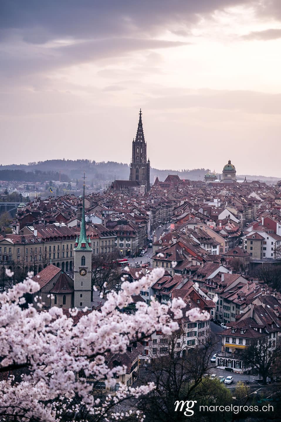Bern Bilder. flowering cherry tree in front of the oldtown of Bern in spring. Marcel Gross Photography