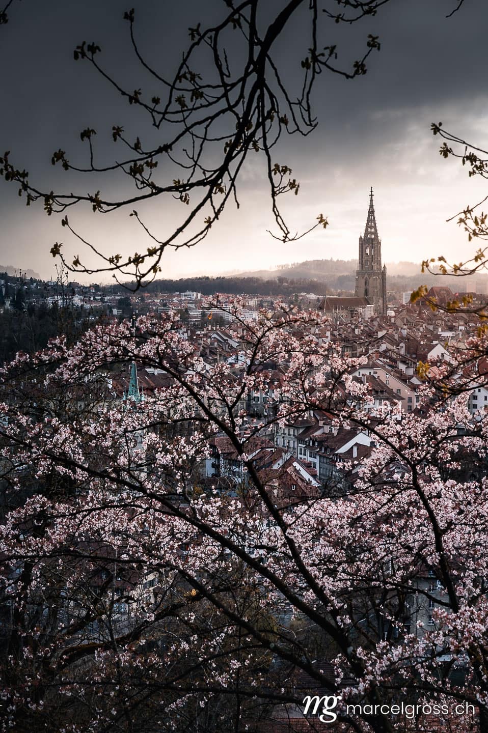 Frühlingsbilder Schweiz. dramatische Stimmung während der Kirschblüte über Berner Altstadt. Marcel Gross Photography