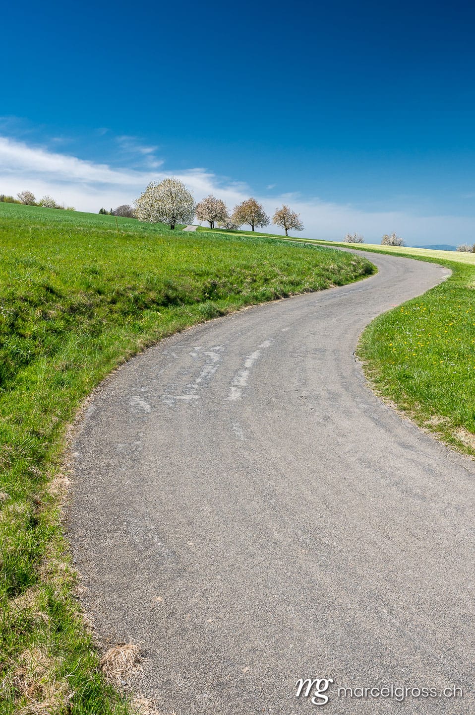 Baselbiet Bilder. s-curve during cherry blossom in spring in Baselland. Marcel Gross Photography