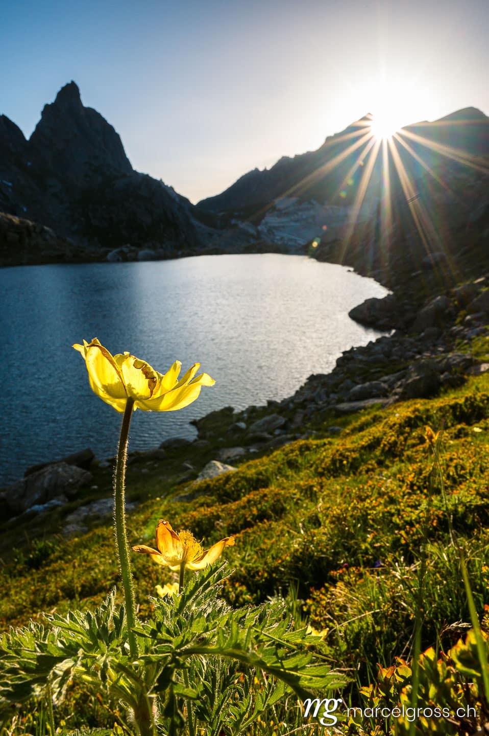 . . Marcel Gross Photography