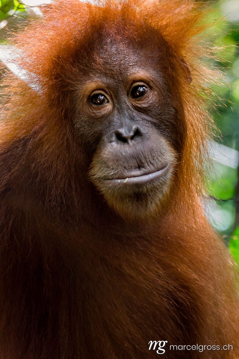 . hairy portrait. Marcel Gross Photography