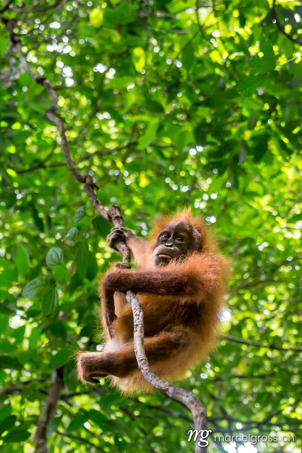 . looking down. Marcel Gross Photography
